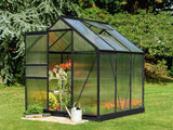 Halls Gewächshaus Popular 66 Schwarz SDPL