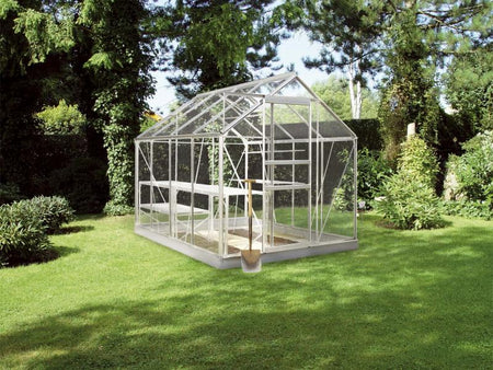 Halls Gewächshaus Popular 86 Blankglas