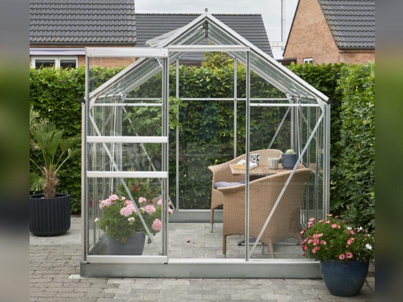Halls Gewächshaus Popular 86 Blankglas