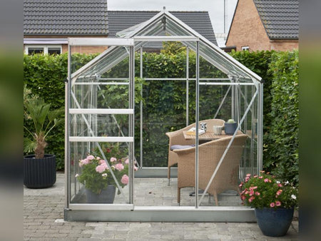 Halls Gewächshaus Popular 86 Blankglas