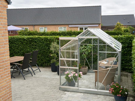 Halls Gewächshaus Popular 86 Blankglas