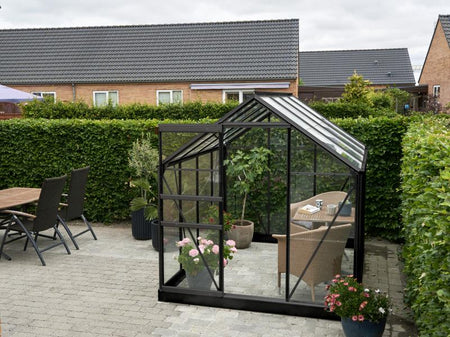 Halls Gewächshaus Popular 86 Schwarz Blankglas