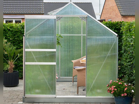 Halls Gewächshaus Popular 86 SDPL