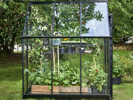 Halls Gewächshaus Qube 66 Schwarz Sicherheitsglas