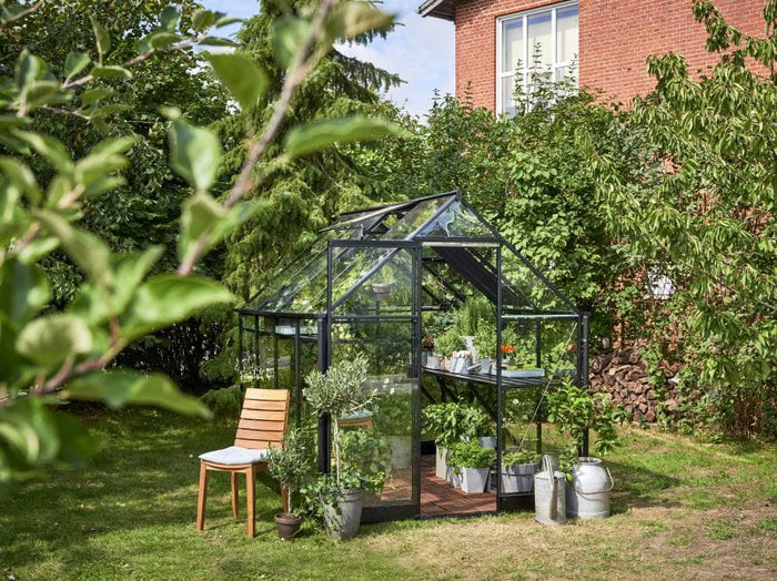Halls Gewächshaus Qube 68 Schwarz Sicherheitsglas