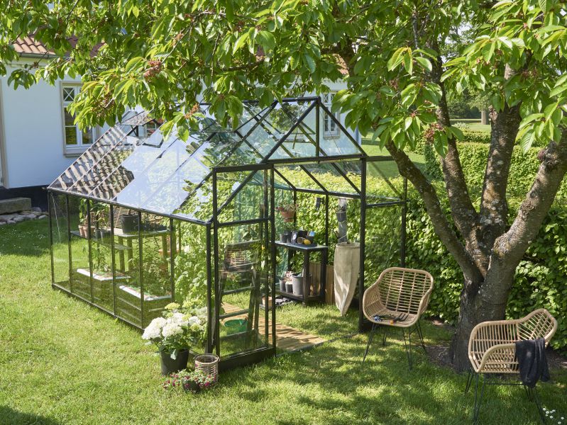 Halls Gewächshaus Qube+ 812 Schwarz Sicherheitsglas