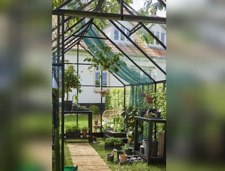 Halls Gewächshaus Qube+ 812 Schwarz Sicherheitsglas