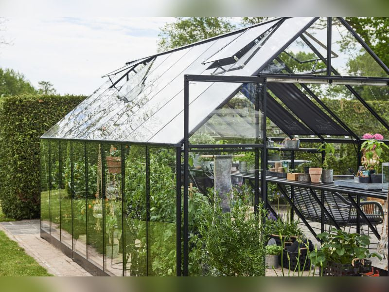 Halls Gewächshaus Qube+ 816 Schwarz Sicherheitsglas