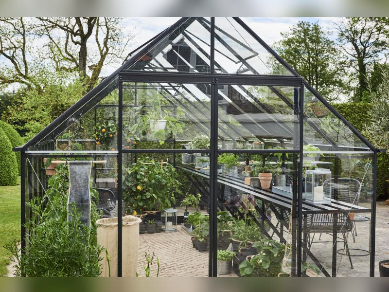 Halls Gewächshaus Qube+ 816 Schwarz Sicherheitsglas