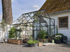Halls Gewächshaus Qube+ 88 Schwarz Sicherheitsglas