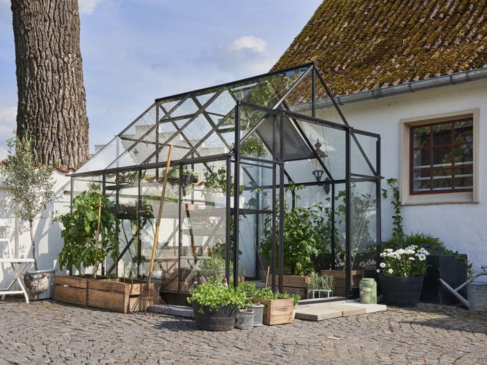 Halls Gewächshaus Qube+ 88 Schwarz Sicherheitsglas