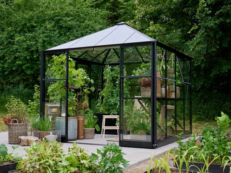 Halls Gewächshaus Qube+ 88 Schwarz Sicherheitsglas