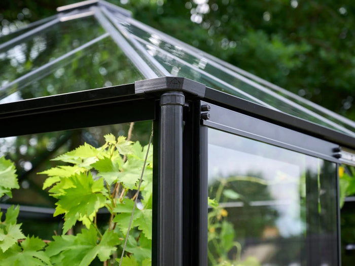Halls Gewächshaus Qube+ 88 Schwarz Sicherheitsglas