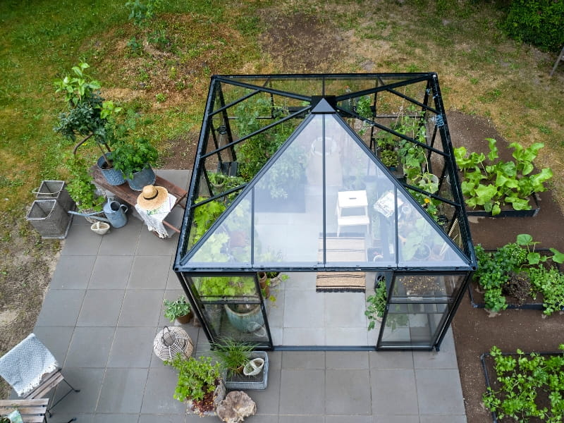 Halls Gewächshaus Qube+ 88 Schwarz Sicherheitsglas