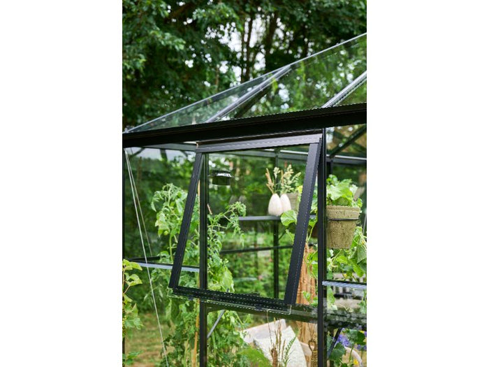 Halls Gewächshaus Qube+ 88 Schwarz Sicherheitsglas