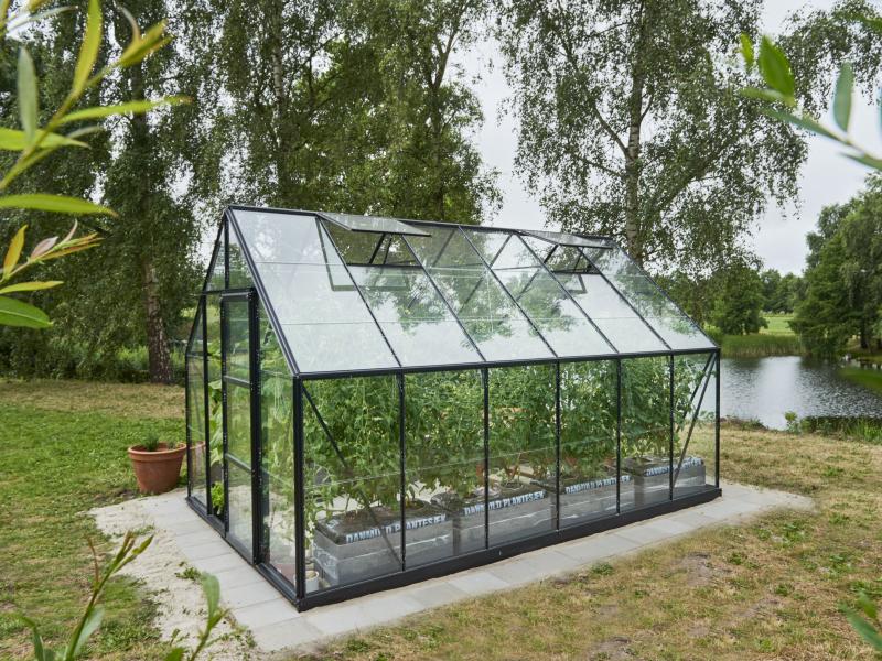 Halls Gewächshaus Universal 128 Schwarz Blankglas