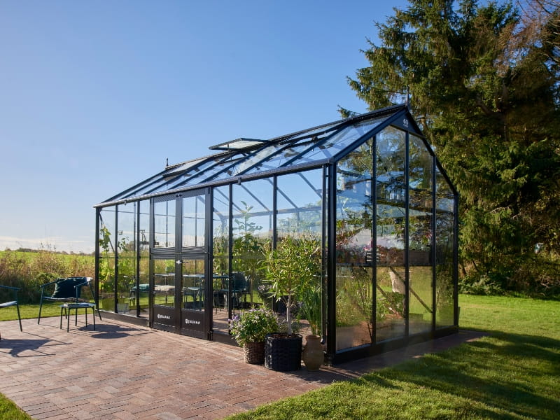 Juliana Gewächshaus Jubii 60 Schwarz 15,1 m² mit 3 mm Sicherheitsglas