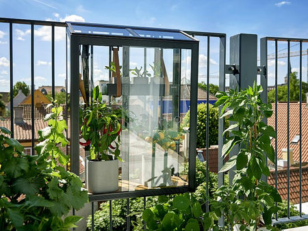 Juliana Urban Gewächshaus Balcony schwarz