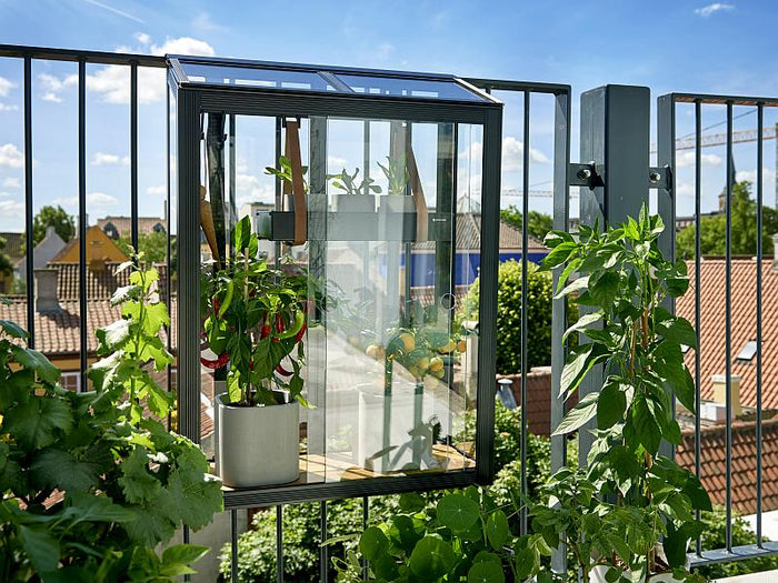 Juliana Urban Gewächshaus Balcony schwarz