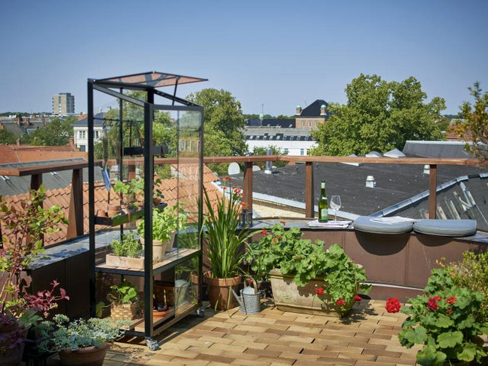 Juliana Urban Gewächshaus City Greenhouse, 4mm Sicherheitsglas