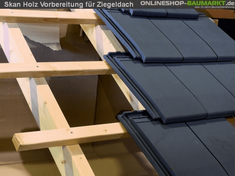 Skan Holz Blockbohlenhaus Toronto 2 70plus, 560 x 420 cm
