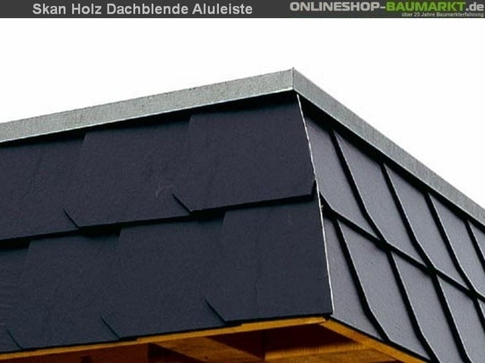 Skan Holz Carport Spreewald 585 x 893 cm mit roter Blende