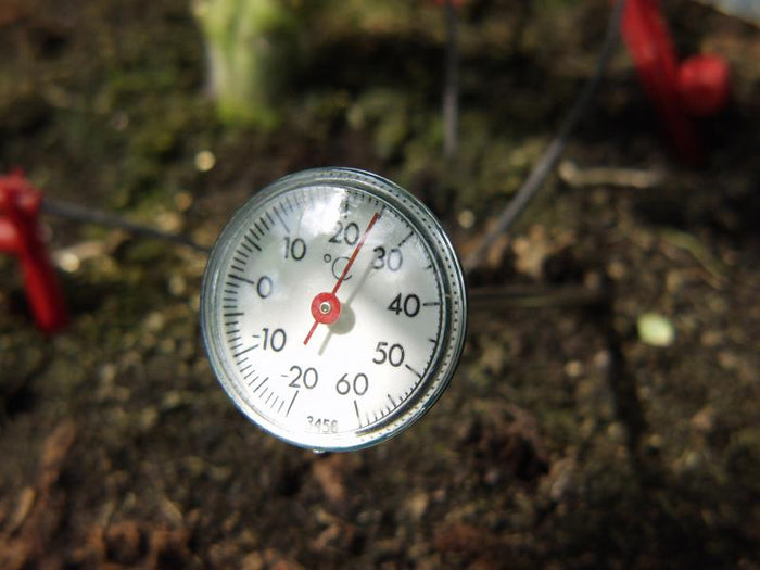 Vitavia Erdthermometer
