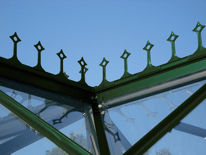 Vitavia Firstkrone grün für Sirius