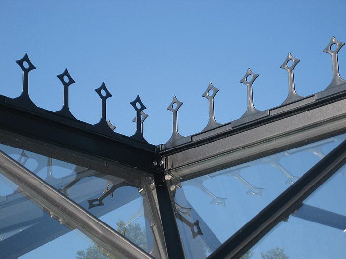 Vitavia Firstkrone schwarz für Sirius
