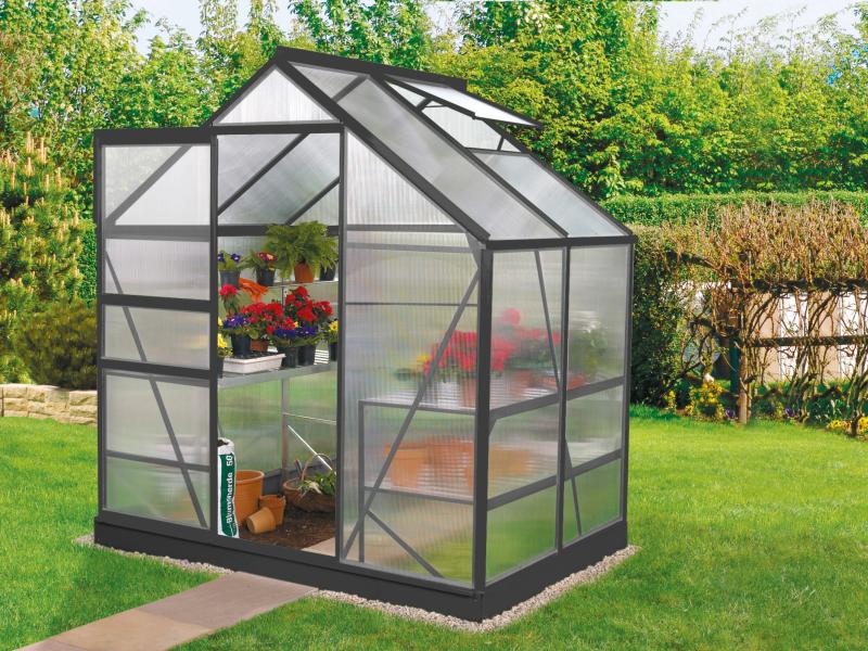 Vitavia Gewächshaus Venus 2500 HKP 6 mm Schwarz