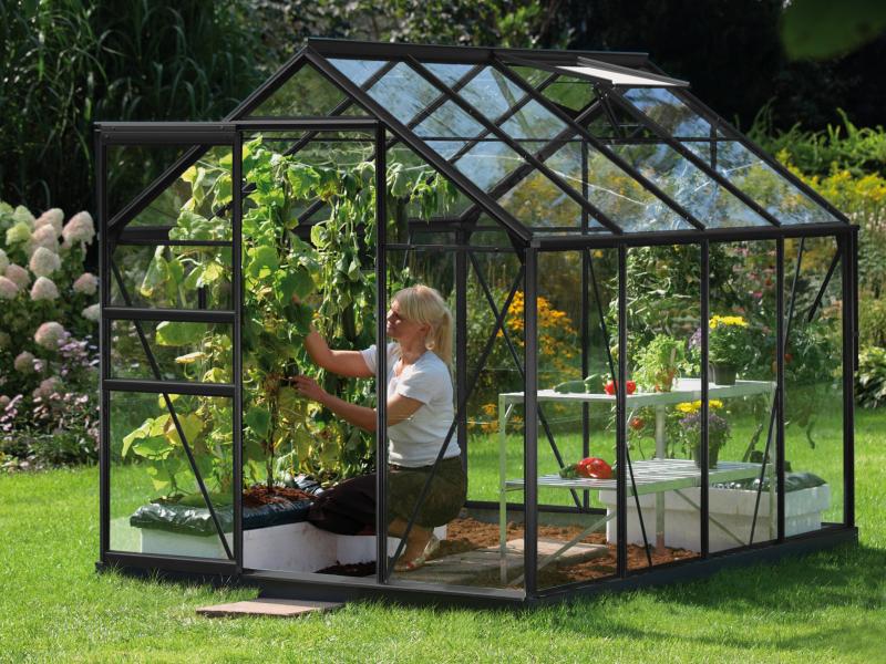 Vitavia Gewächshaus Venus 5000 ESG 3 mm Schwarz