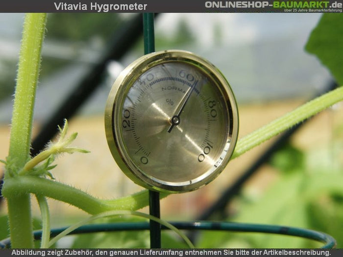 Vitavia Hygrometer