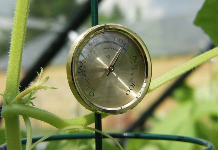 Vitavia Hygrometer
