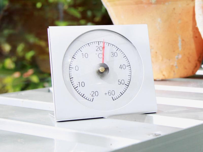 Vitavia Thermometer