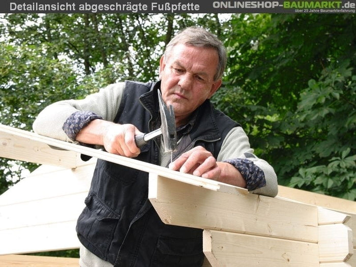 Wolff Finnhaus Gartenhaus Caroline 28 mit Rahmenfundament